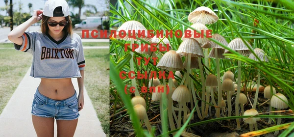 спайс Абаза