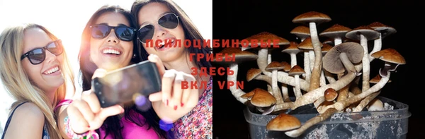 тгк Абдулино