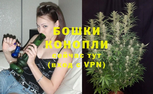 спайс Абаза
