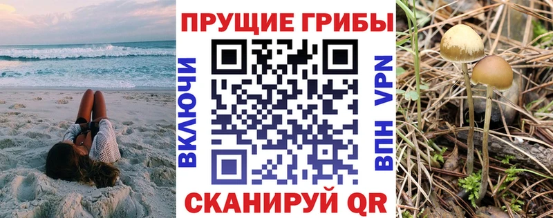 Галлюциногенные грибы Psilocybine cubensis ссылка на мегу ТОР Остров